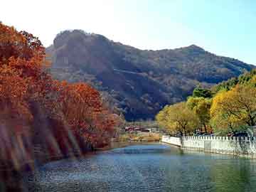 澳门天天彩期期精准平肖，欧泉琳美白祛斑组合